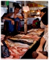 Fish market, Canton China